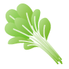 葉野菜やキノコ類のイラスト イラスト素材の素材ダス