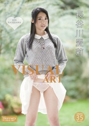 VISUAL ART(ビジュアルアート)